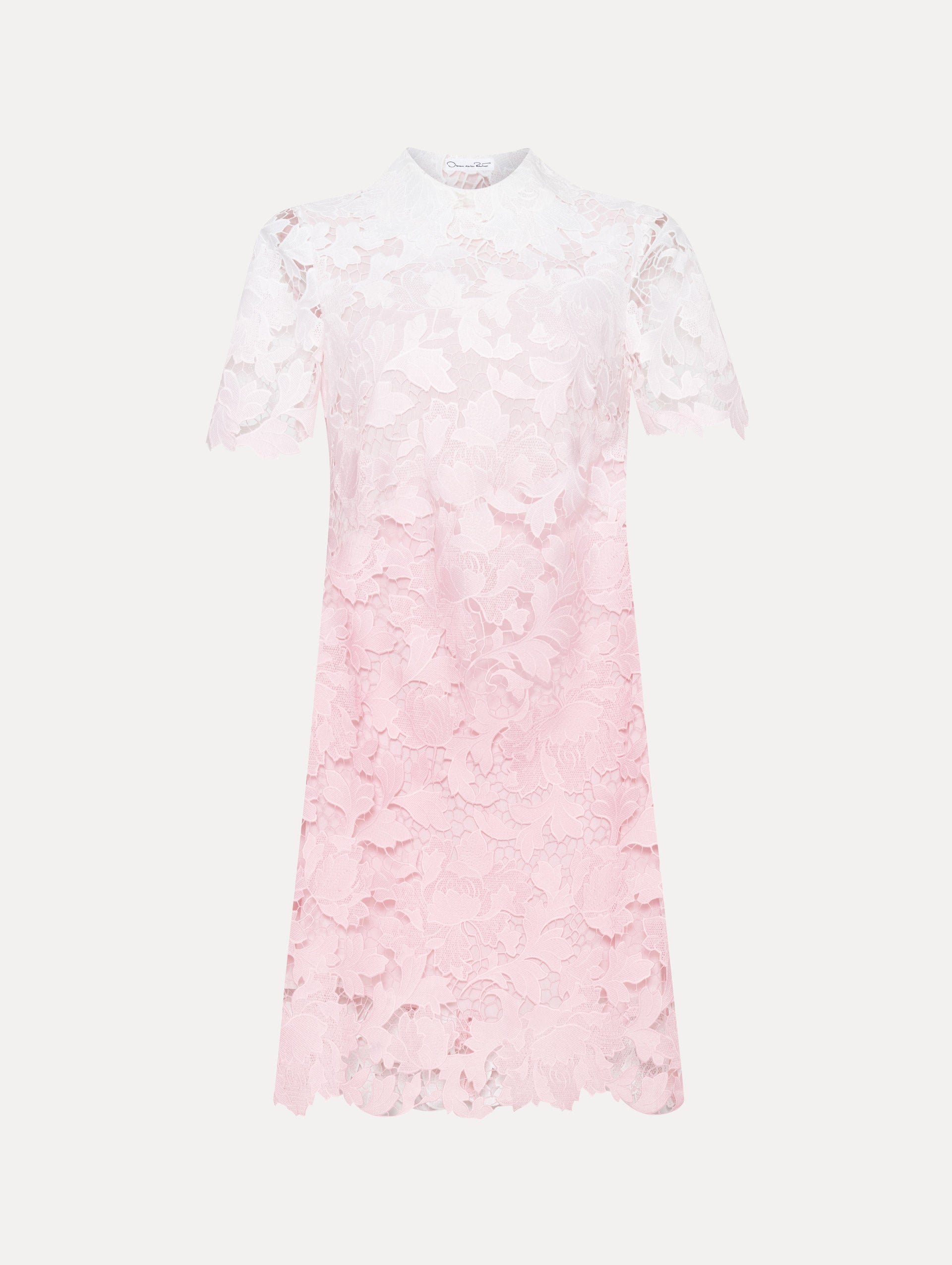 Ombre Peony Guipure Shift Dress Front View