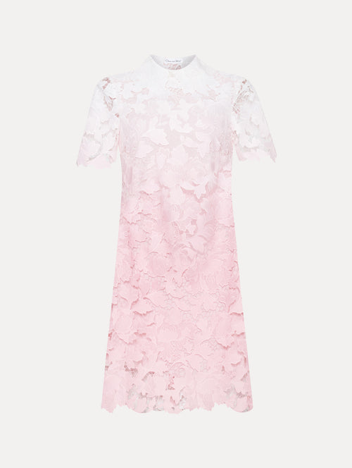 Ombre Peony Guipure Shift Dress Front View