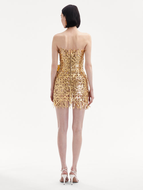 Lattice Embroidered Mini Dress Back View