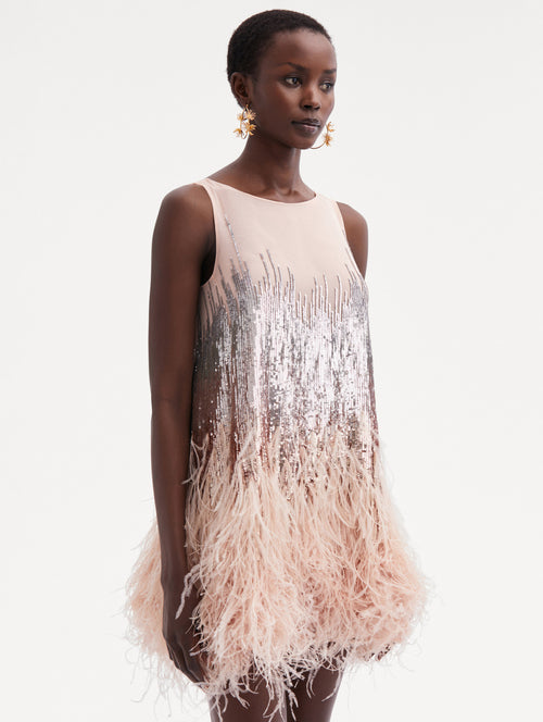 Sequin & Feather Embroidered Dress Zoom View