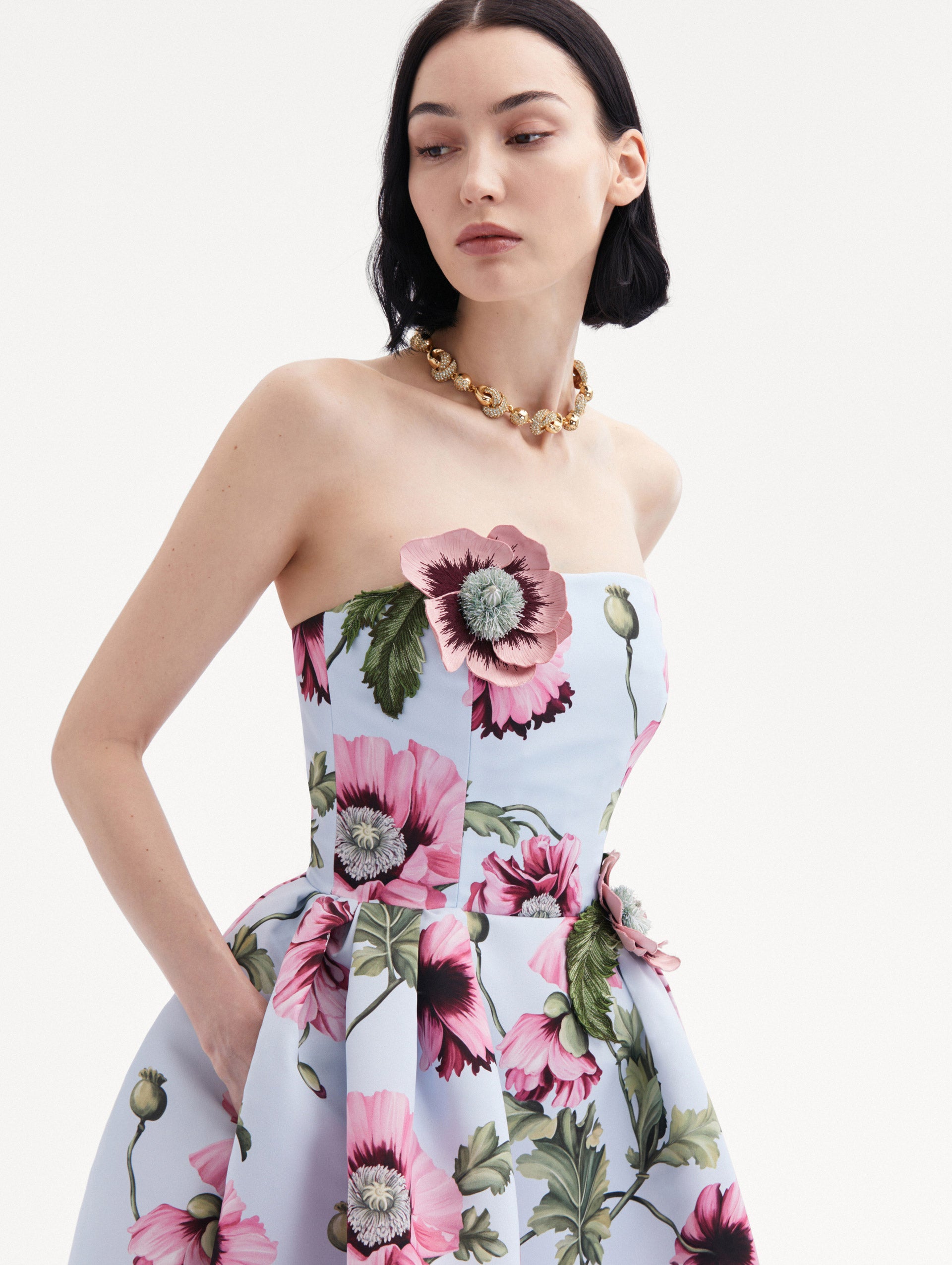 Poppy Embroidered Strapless Dress Zoom View