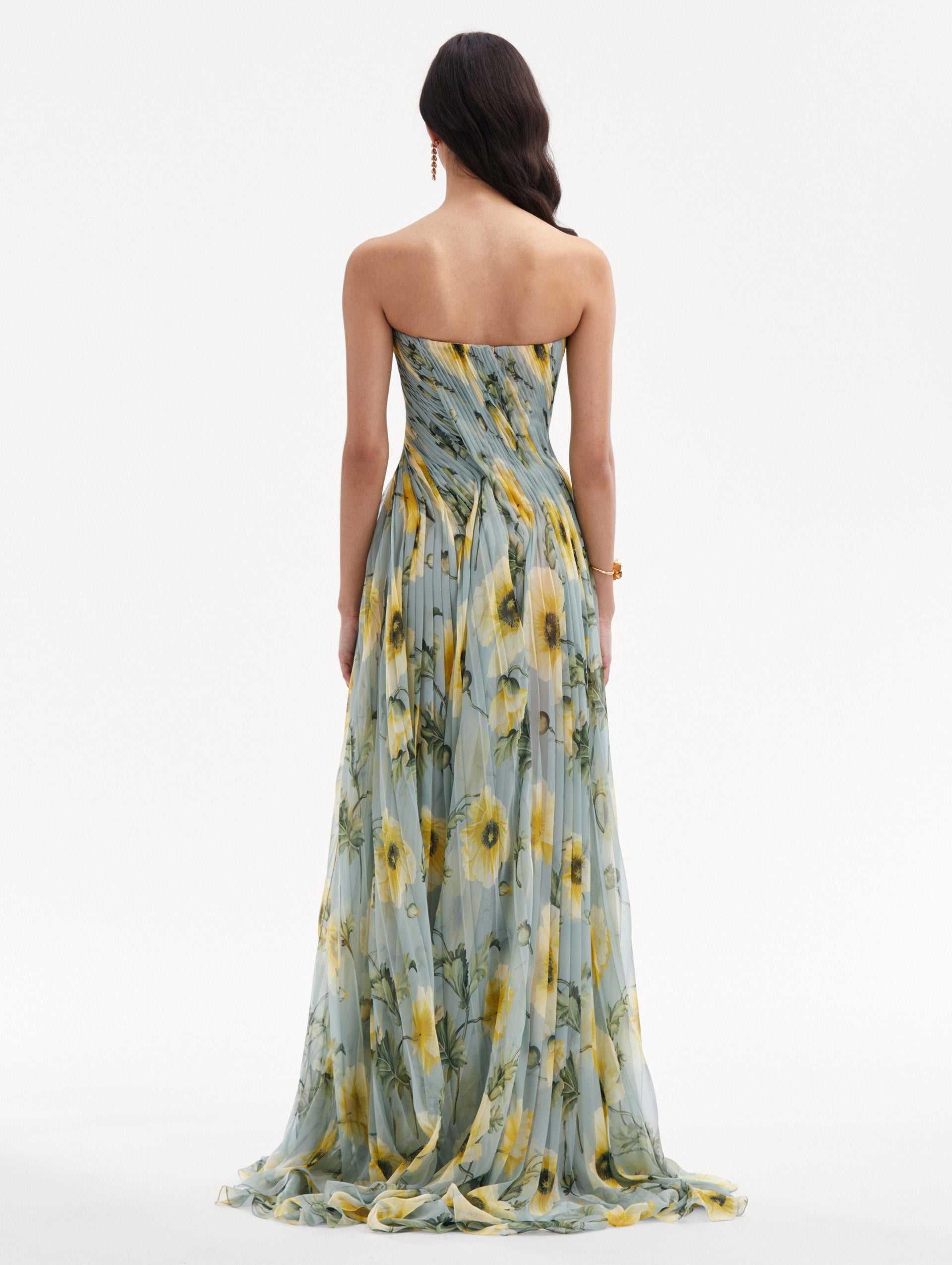 Poppy Threadwork Chiffon Gown Back View