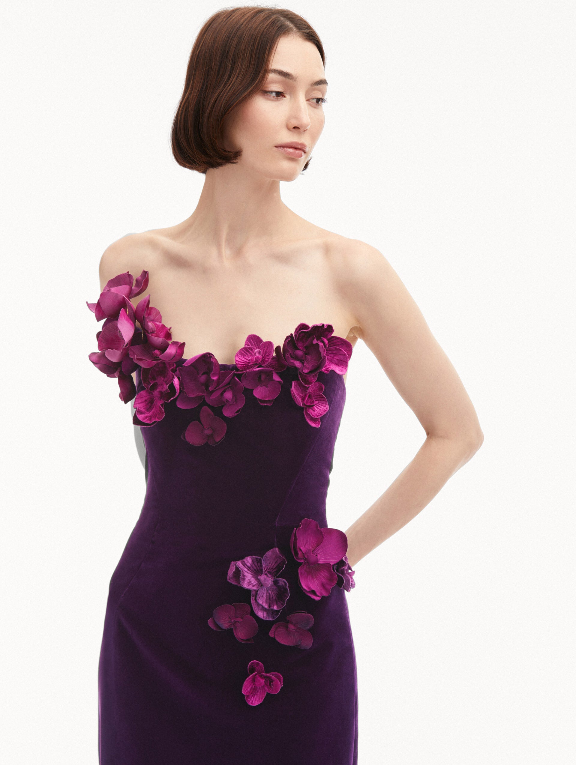 Orchid Embroidered Velvet Gown
Zoom View