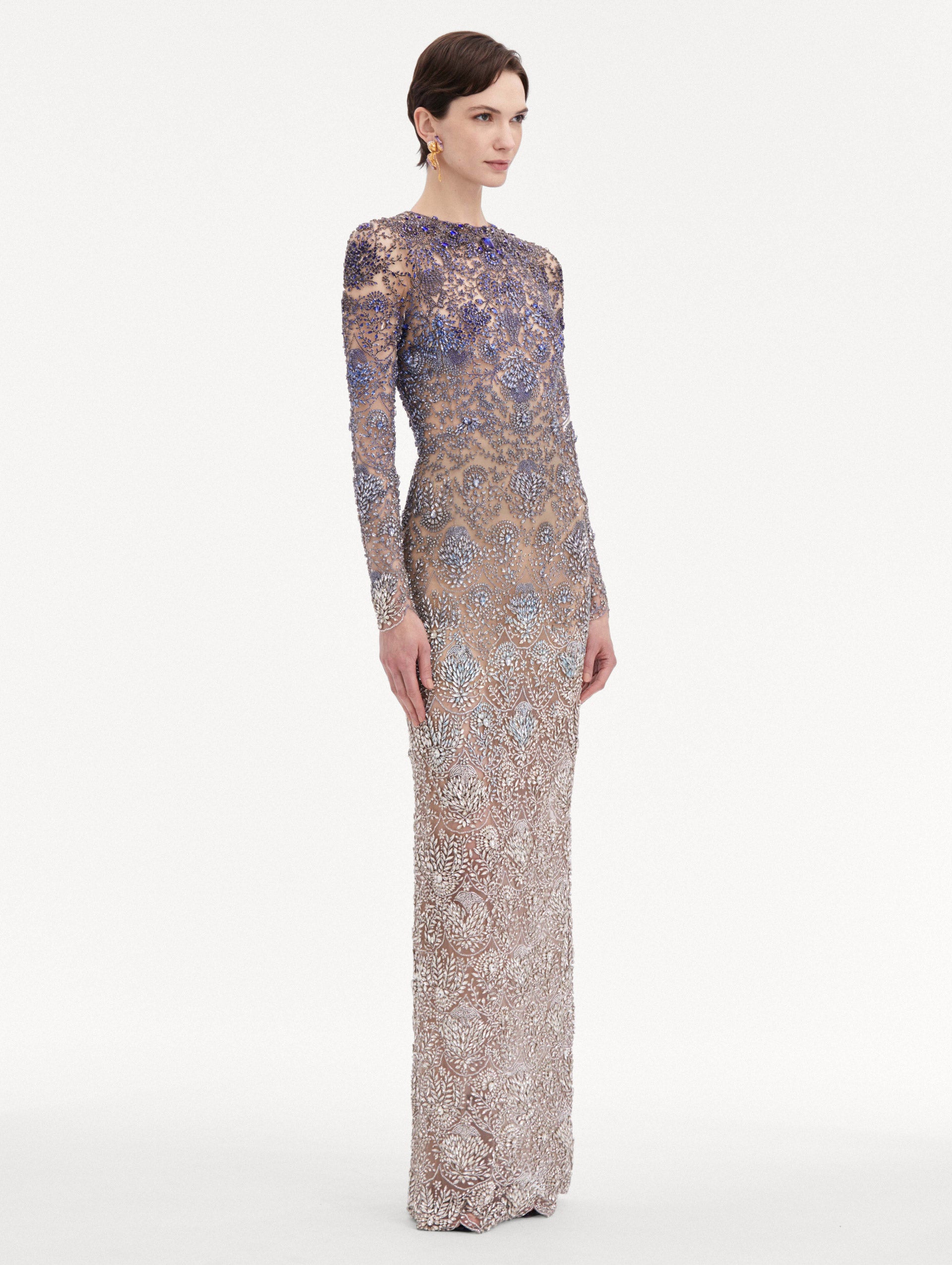 Ombre Crystal Embroidered Gown Side View