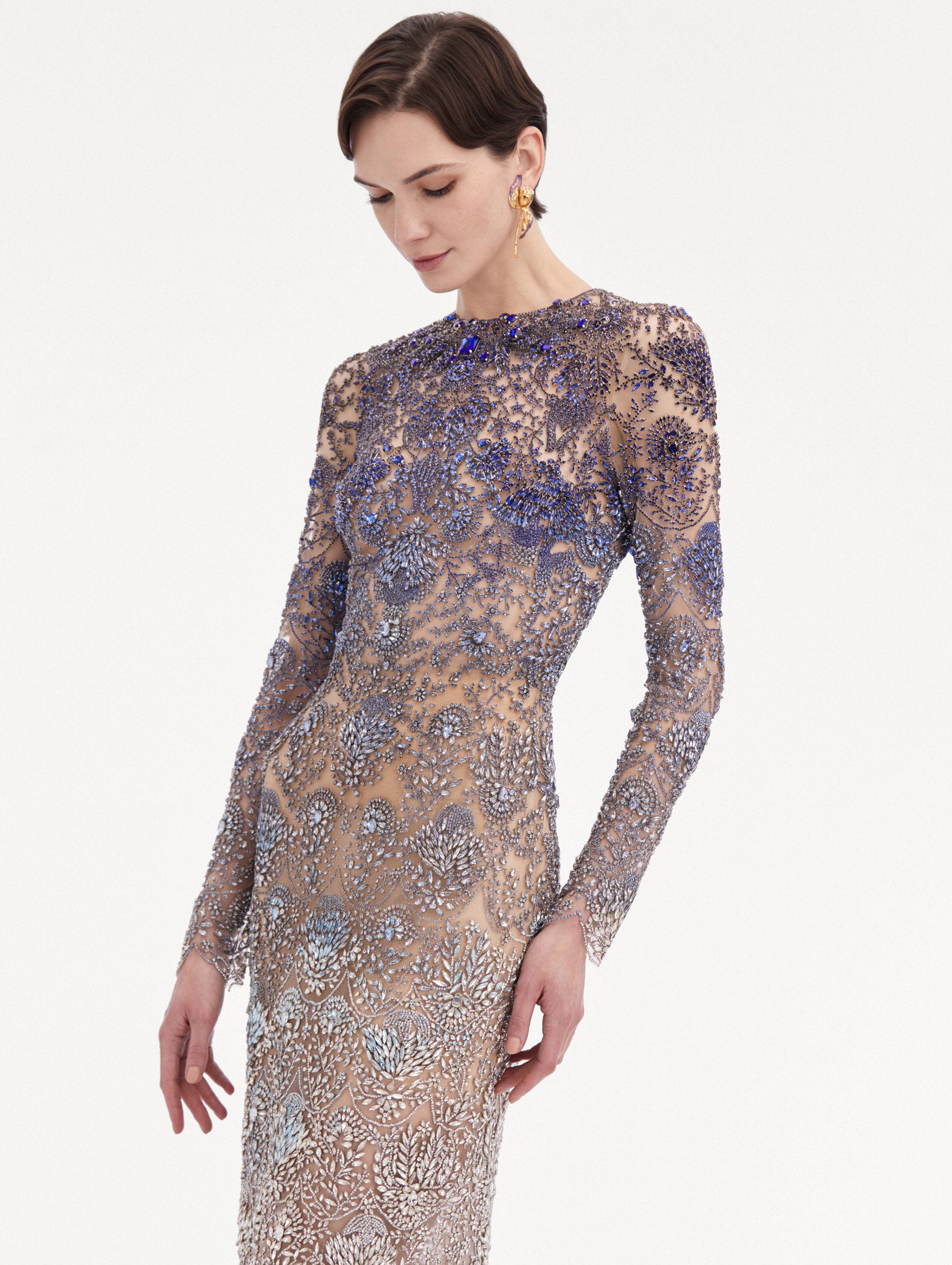 Ombre Crystal Embroidered Gown Zoom View