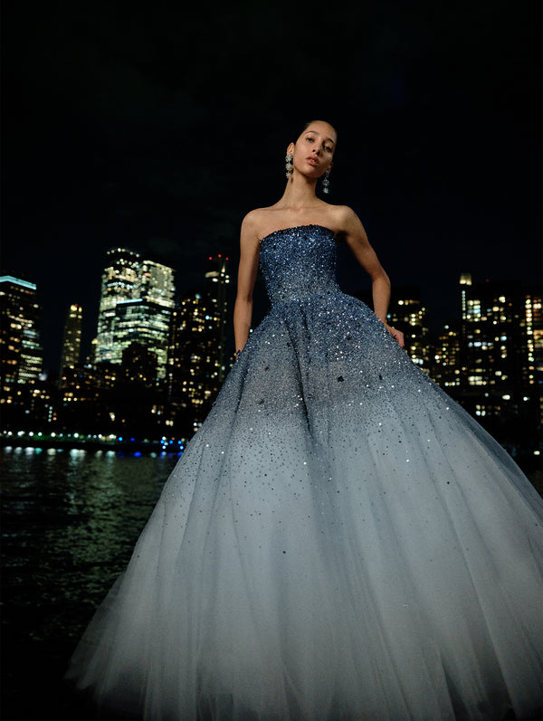 The model is wearing a strapless sequin tulle evening gown against the NYC evening skyline. 